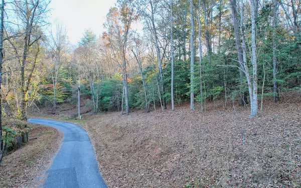 Blairsville, GA 30512,LOT 2 Notla Mtn Retreat