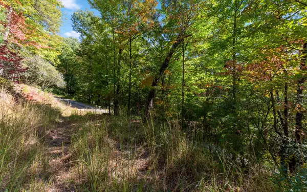 Cherry Log, GA 30522,Martin Crossing