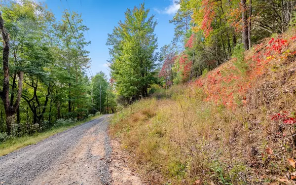 Cherry Log, GA 30522,Martin Crossing