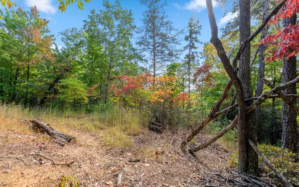 Cherry Log, GA 30522,Martin Crossing