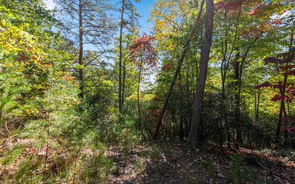 Cherry Log, GA 30522,Martin Crossing