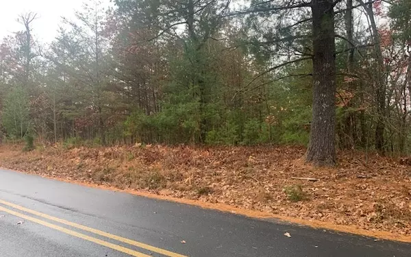 Blairsville, GA 30512,LOT 3 Cook Henry Road