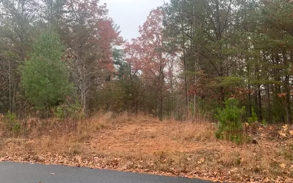 Blairsville, GA 30512,LOT 3 Cook Henry Road