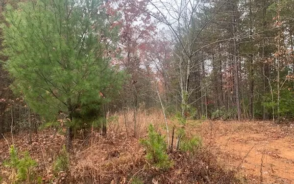 Blairsville, GA 30512,LOT 3 Cook Henry Road