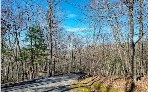 Blue Ridge, GA 30513,LOT9 Sunrise Court