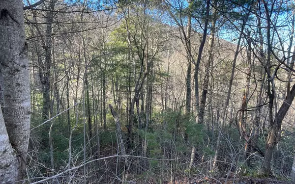 Hiawassee, GA 30546,LOT 6 Harris Heights Road