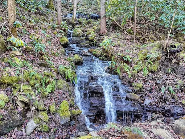 38+ Acre Shoals Trail, Hiawassee, GA 30549