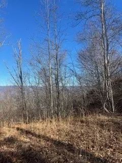 Murphy, NC 28906,Lot 55 Timberwood Drive