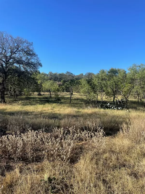 Mason, TX 76856,Lot 6 -- Little Willow Creek RD