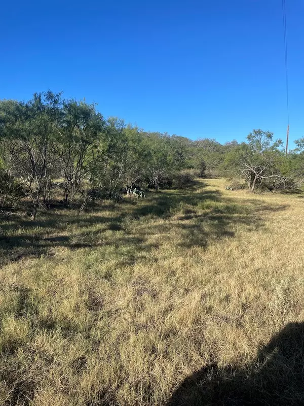 Mason, TX 76856,Lot 6 -- Little Willow Creek RD