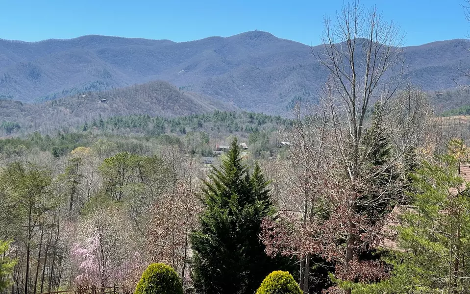 LOT15 Brown Haven Heights, Hiawassee, GA 30546