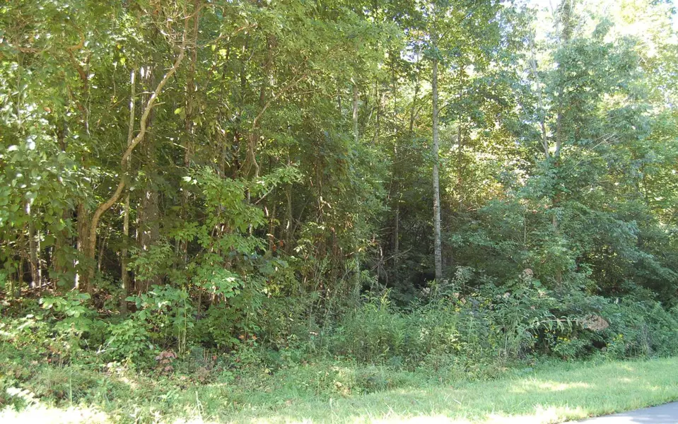 Lot 3 Ramey Mtn, Hiawassee, GA 30546