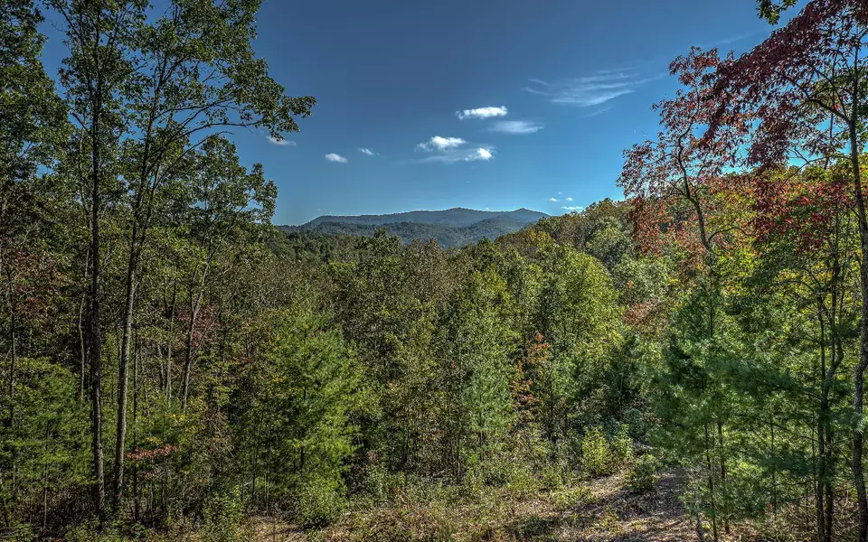 LOT 8 Whispering Lake Drive, Blue Ridge, GA 30513