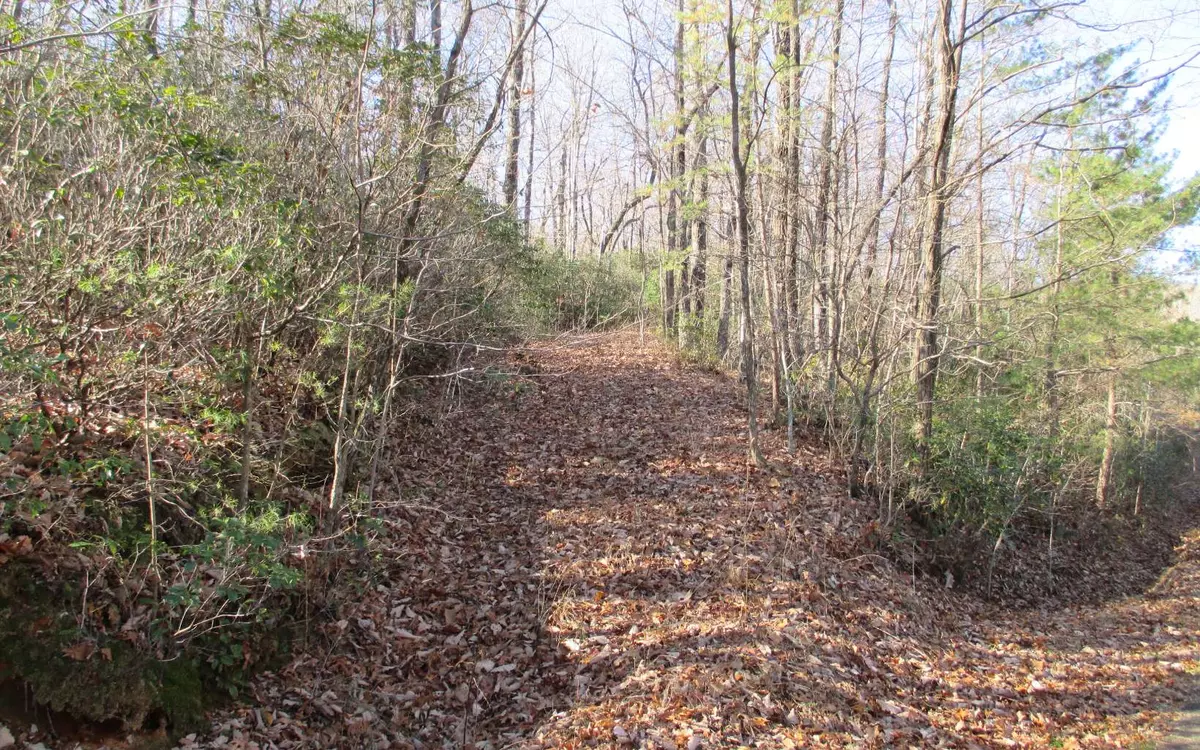 Jasper, GA 30143,00 Cold Stream Trail