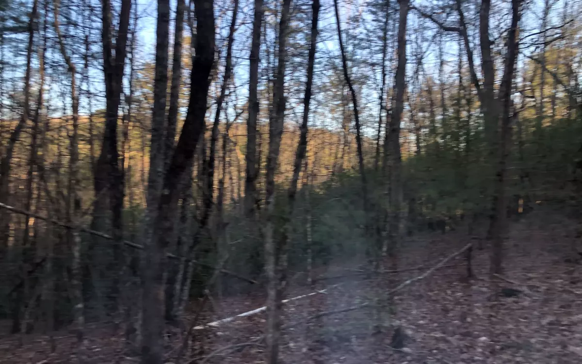 Ellijay, GA 30540,LOT 9 East Ridge S/D