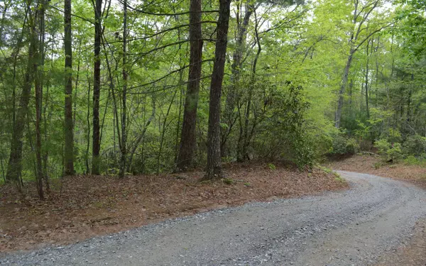 LOT 10 North Ridge Trail, Brasstown, NC 28902