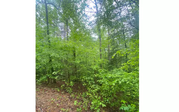 Ellijay, GA 30536,East Ridge Ln Lot 30