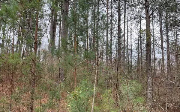 Blairsville, GA 30512,LOT43 Pinehurst Road