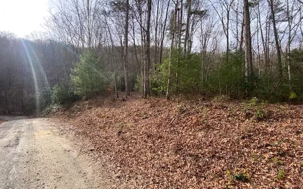 LOT14 Dana Road, Mineral Bluff, GA 30559