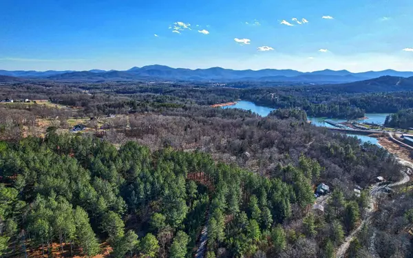 Blairsville, GA 30512,LOT46 Pinehurst Road