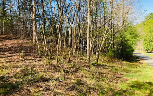 Blairsville, GA 30512,Valerie Lane Lot 26