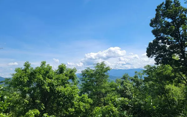 Hayesville, NC 28904,5 Ridges Overlook