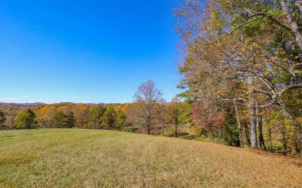 Hayesville, NC 28904,LOT 6 Hinton Overlook