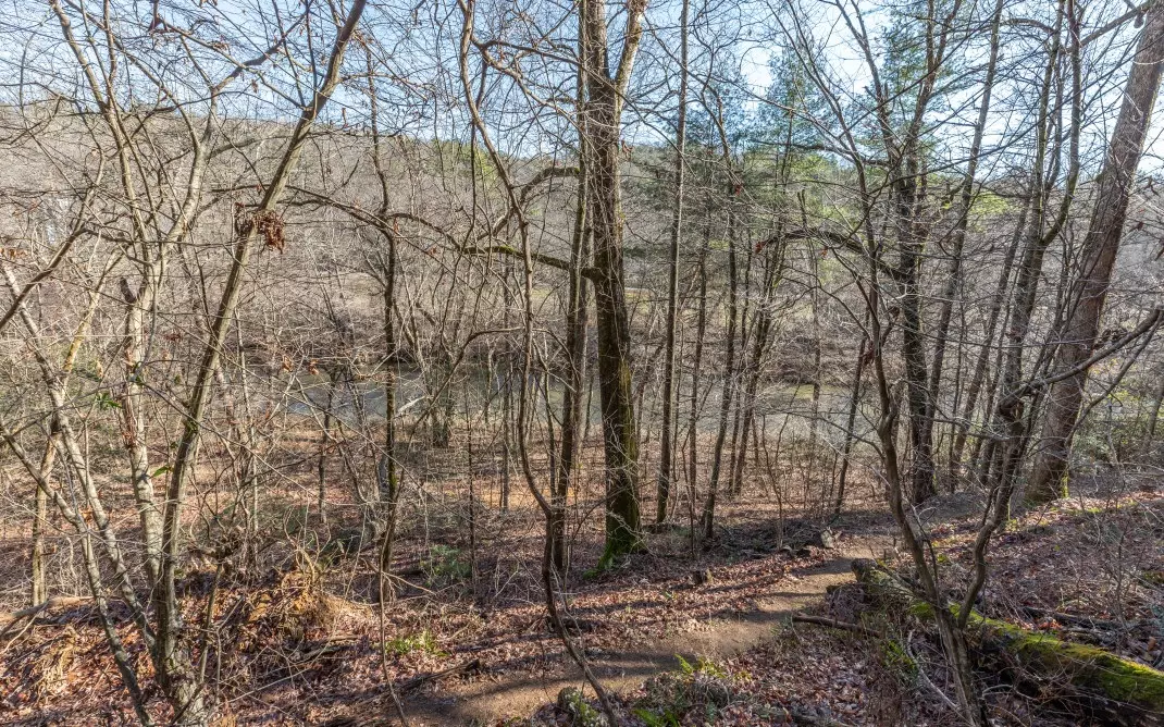 Ellijay, GA 30540,L20 Bluffs @ Cartecay