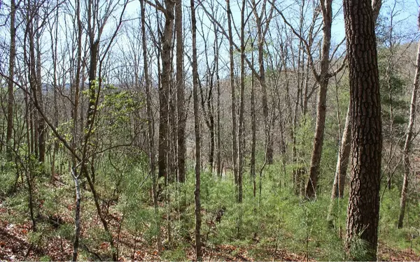 LOT 1 Peter Knob Road,  Blue Ridge,  GA 30513