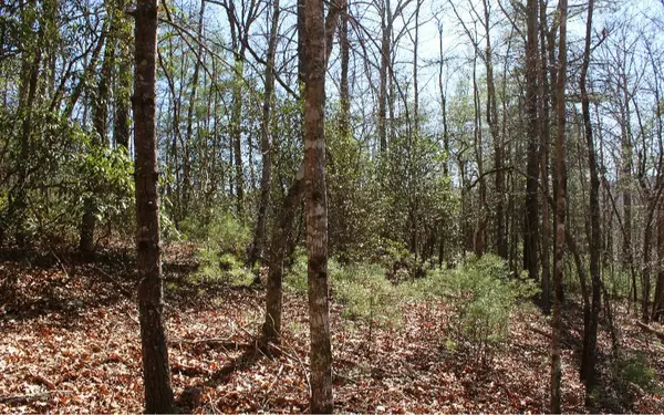 Blue Ridge, GA 30513,LOT 1 Peter Knob Road