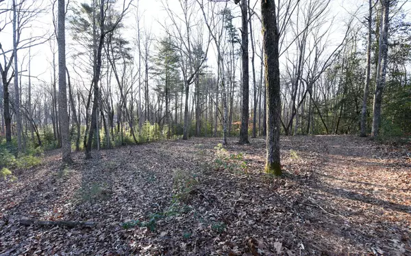 LOT65 The Orchard, Blairsville, GA 30512