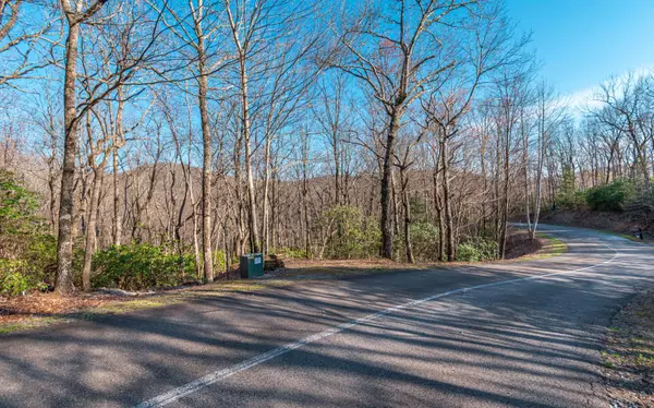 Ellijay, GA 30536,3.5A St Andrews Way