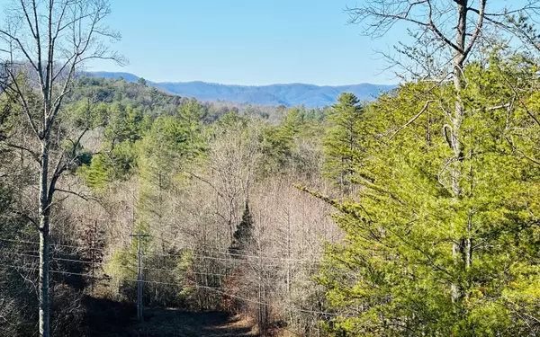 Blue Ridge, GA 30513,LOT 4 Serenity View