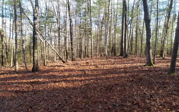 Morganton, GA 30560,LT 15 My Forest At My Mtn