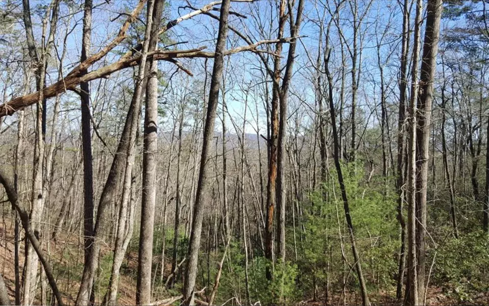 LT 27 Ridge View, Ellijay, GA 30540