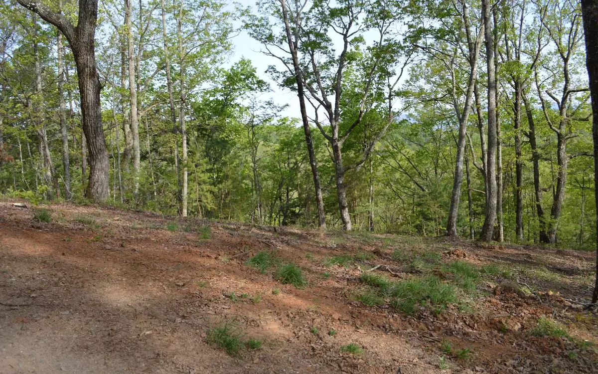 Brasstown, NC 28902,LOT 19 North Ridge Trail