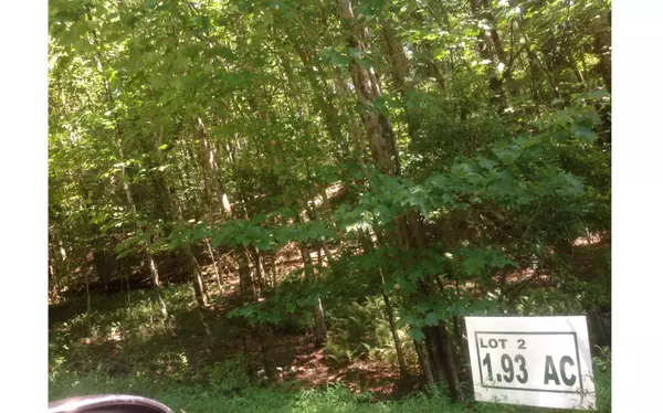 LOT 2 Winding Brook Lane, Morganton, GA 30560