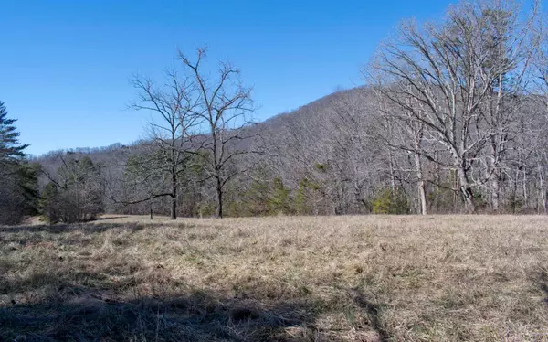 Hayesville, NC 28904,22 AC Fires Creek Road