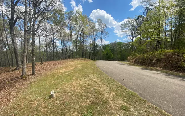 Ellijay, GA 30540,LT155 Harris Creek Drive