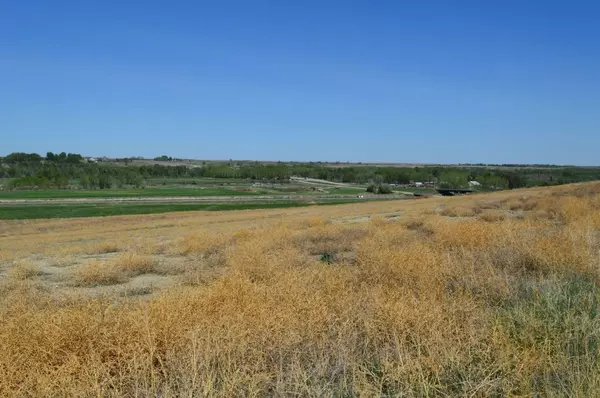 Rural Vulcan County, AB T0J 0M0,215 A