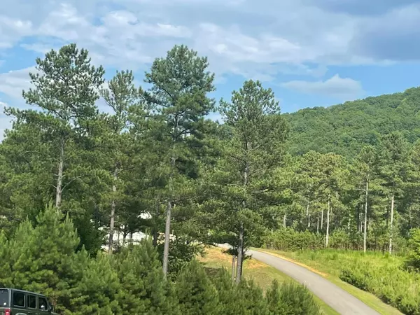 Blairsville, GA 30512,LOT 337 LOOP LANE