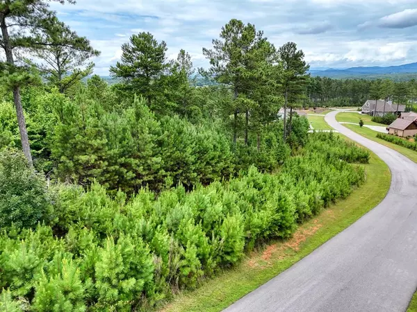 Blairsville, GA 30512,LOT 337 LOOP LANE