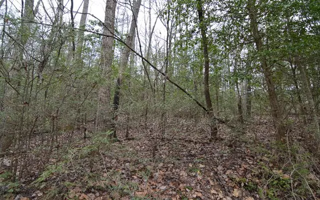 Lot X-7 Hidden Lake, Blairsville, GA 30512