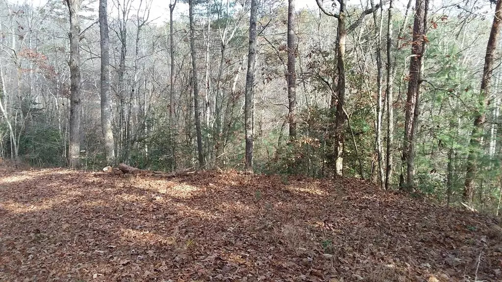 Lot 14 Hickory Hill Lane, Murphy, NC 28906