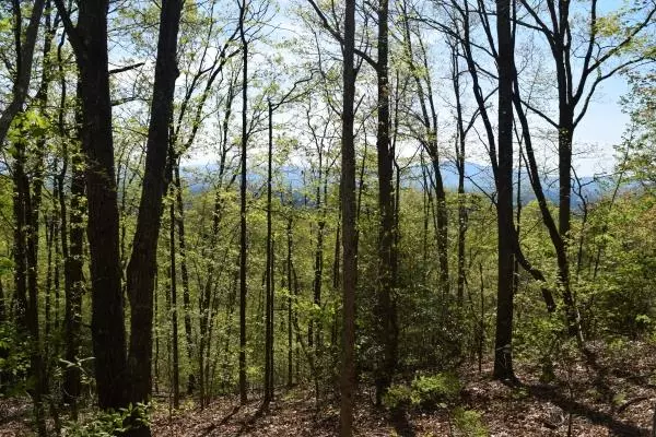 Lot 42 Wilderness Creek Way, Murphy, NC 28906