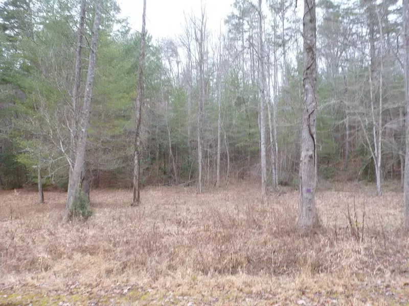 Lot 58 Thundering Hill, Murphy, NC 28906