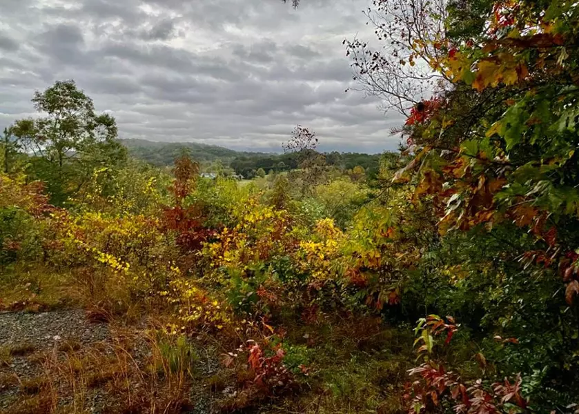 000 Tree Top Ter, Murphy, NC 28906