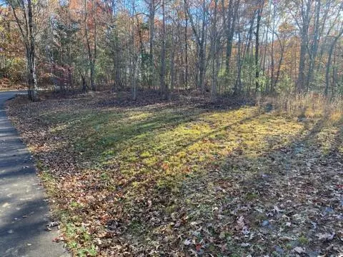 lot 117 Weber Way Cir, Brasstown, NC 28902