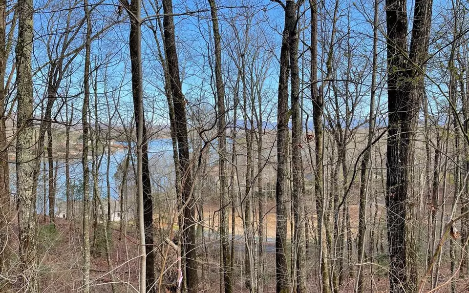 Lot 18 Sutton Cove, Hiawassee, GA 30546