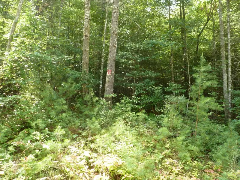 Lot 1 Majestic Mountain, Murphy, NC 28906